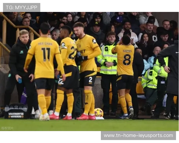 布加勒斯特星队冬窗大动作：引入高经验值中场，开启全新冲刺篇章