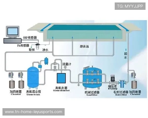 游泳协会加强泳池消毒与安全管理规范化实施，泳池消毒流程图