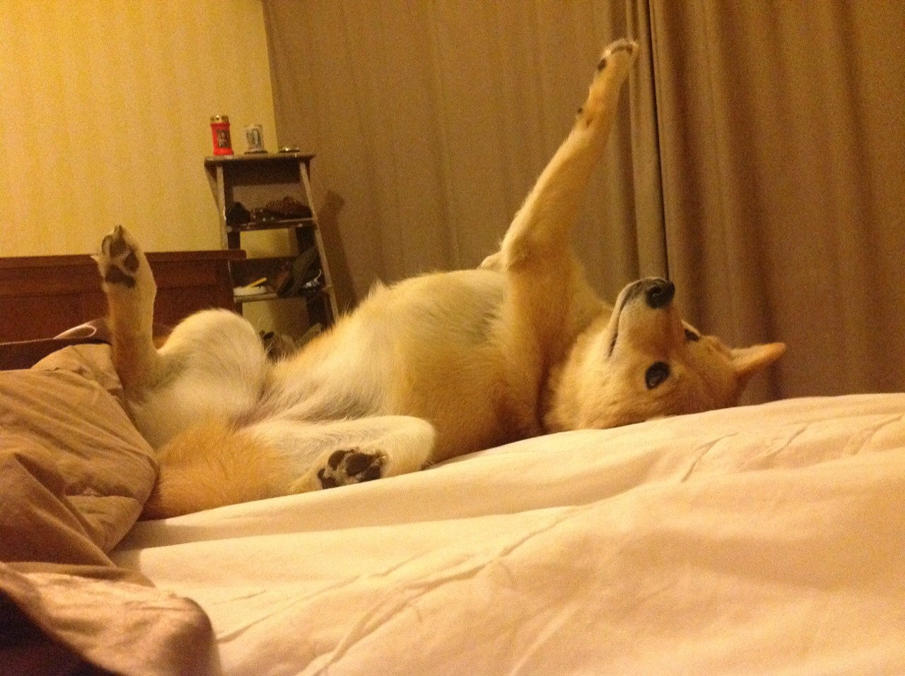 乐鱼体育平台官网-城市体育资源配置公平性评估报告，体育资源配置是什么