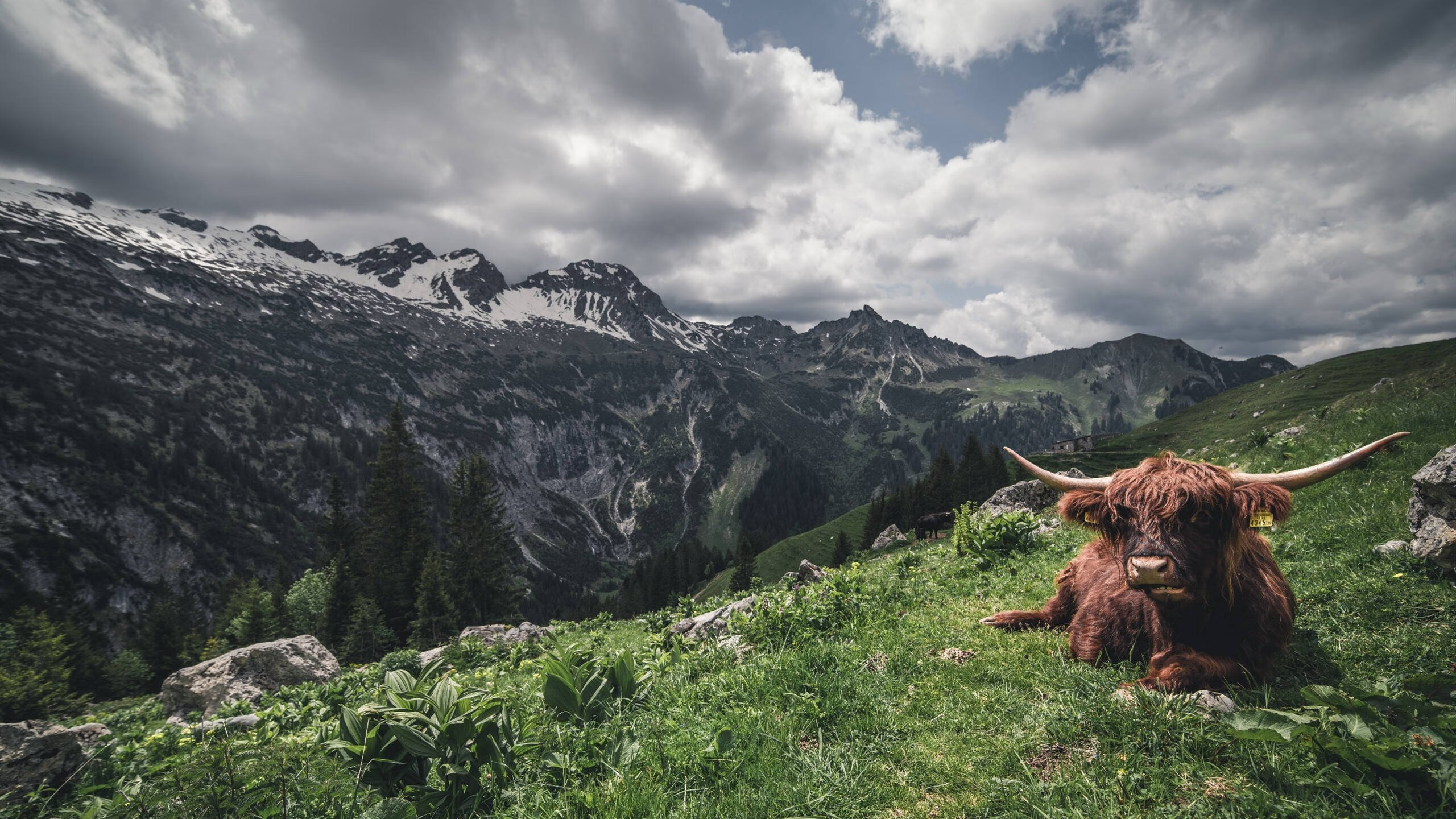 详细阅读:乐鱼体育官网优惠-明星转会背后:各大俱乐部的战略布局,明星俱乐部第二季真相 乐鱼体育官网优惠-明星转会背后:各大俱乐部的战略布局,明星俱乐部第二季真相