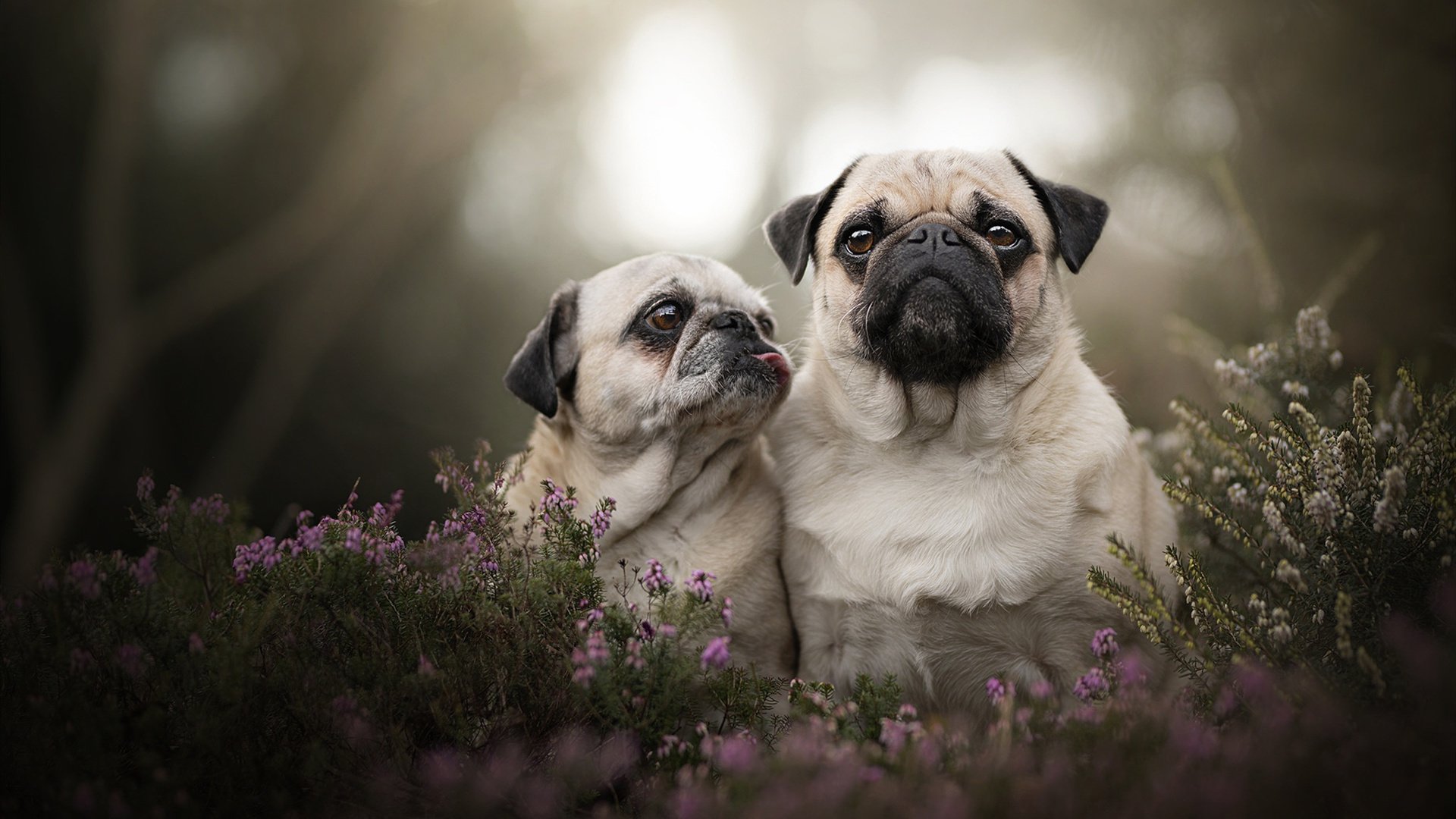 乐鱼体育官网-CBA裁判管理机制改革是否迫在眉睫,cba的裁判归谁管