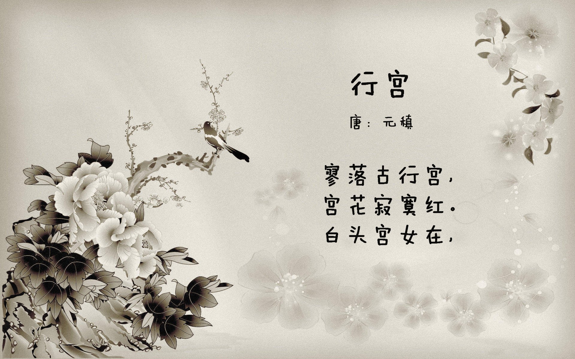 乐鱼体育app官网下载-Cole Palmer决赛表现惊艳，未来巨星可期，2020coe冠军