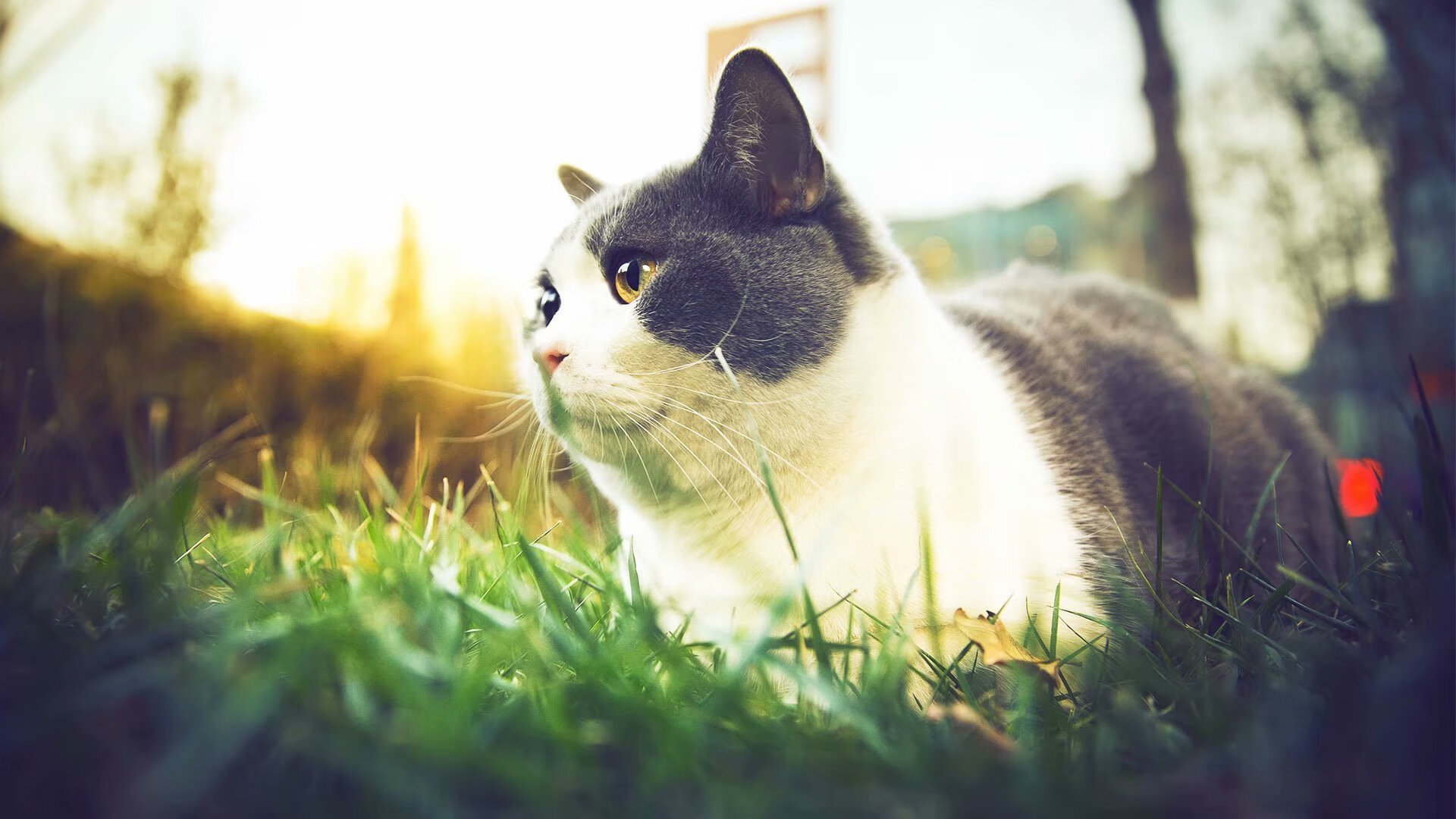 详细阅读:乐鱼体育app下载地址-五大联赛是否推动门将站位前移至半场边缘,五大联赛门将扑救率排名 乐鱼体育app下载地址-五大联赛是否推动门将站位前移至半场边缘,五大联赛门将扑救率排名