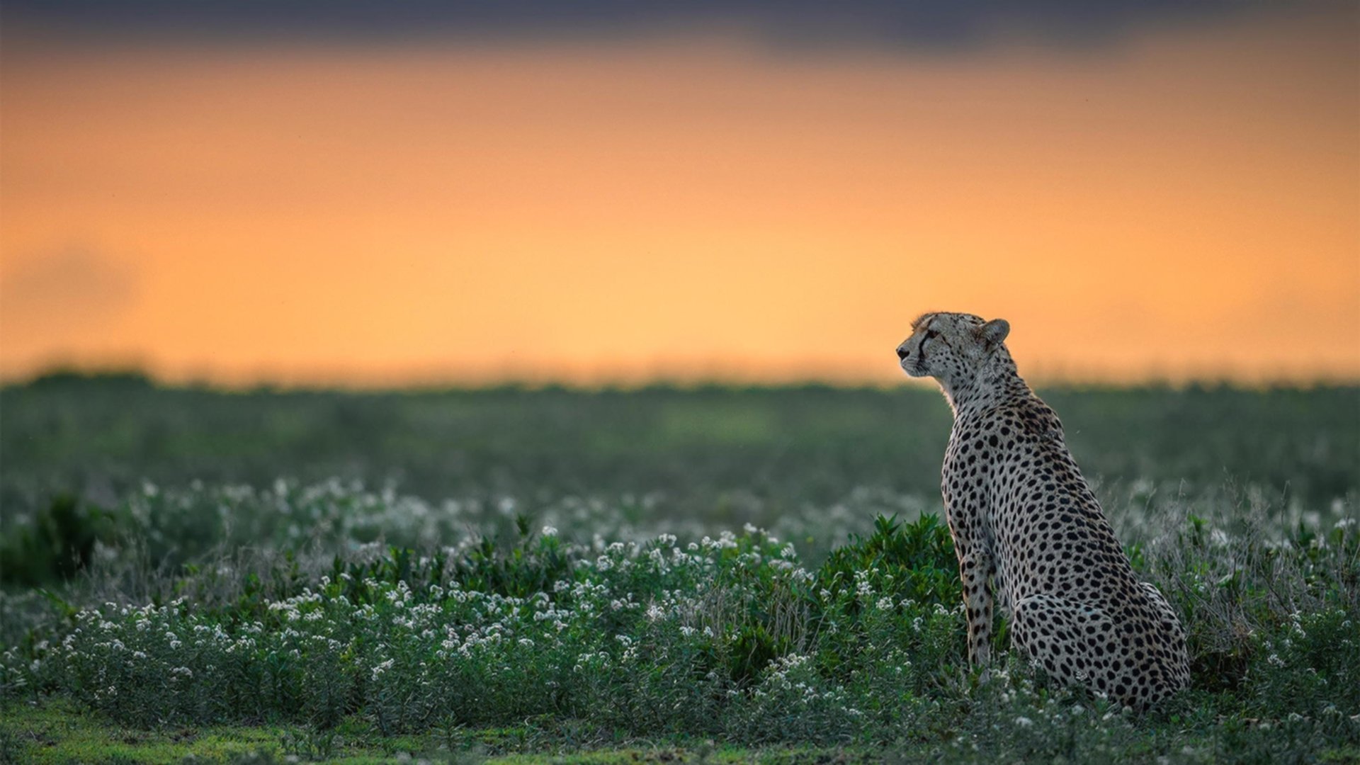乐鱼体育官网投注-亚洲男篮锦标赛小组赛中国队两连胜,亚洲男篮亚锦赛