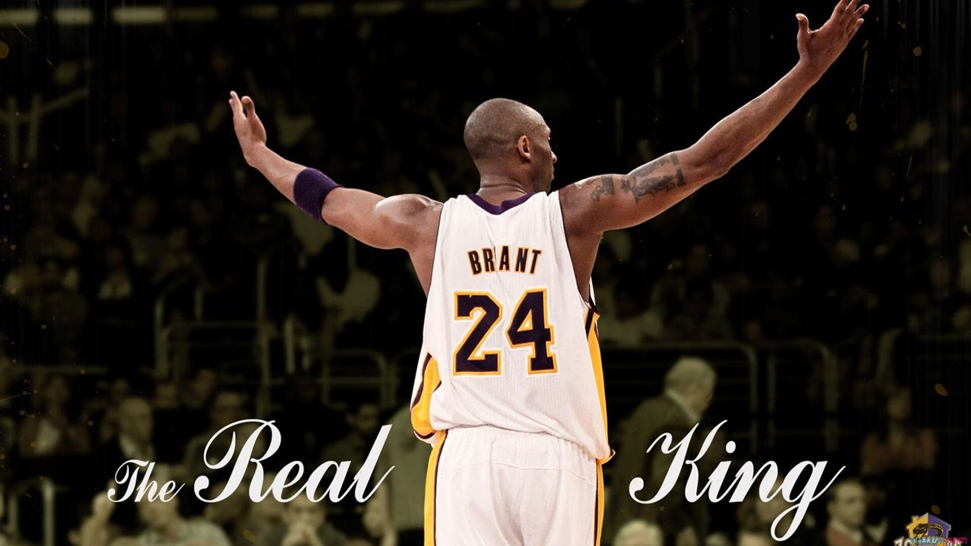 乐鱼体育在线入口-2026世界杯标志及吉祥物发布,期待成为年度体育盛事,2022世界杯徽标