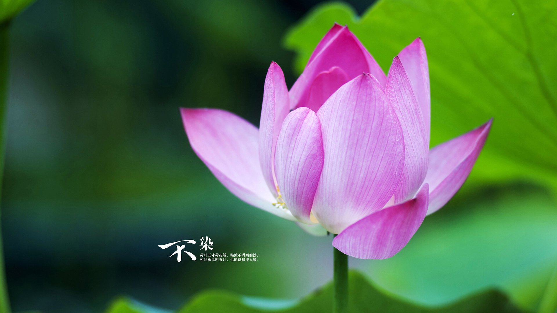 乐鱼体育-世界杯奇迹逆转：英雄时刻令人难忘！，足球世界杯最大逆转