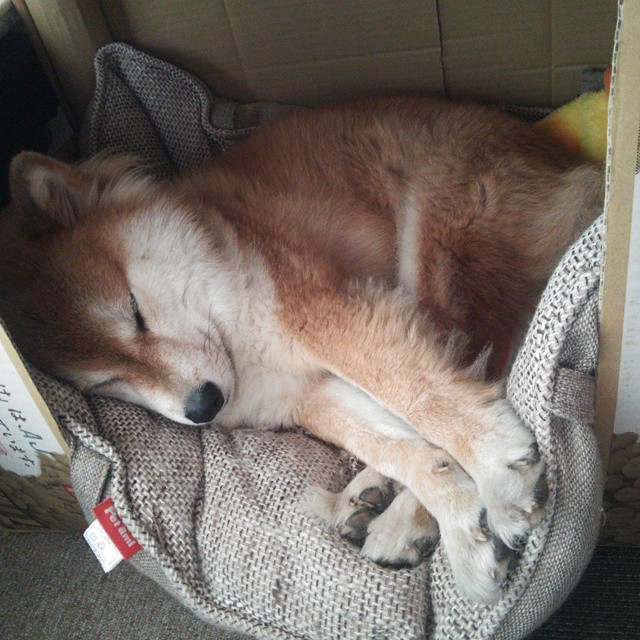 乐鱼体育app官网入口-帕金斯笑对成绩,展现冠军心态,帕金斯厉害吗